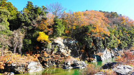 埼玉県秩父・長瀞の紅葉と渓流と岩畳　0708