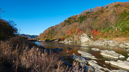 埼玉県秩父・長瀞の紅葉と渓流と岩畳　0852