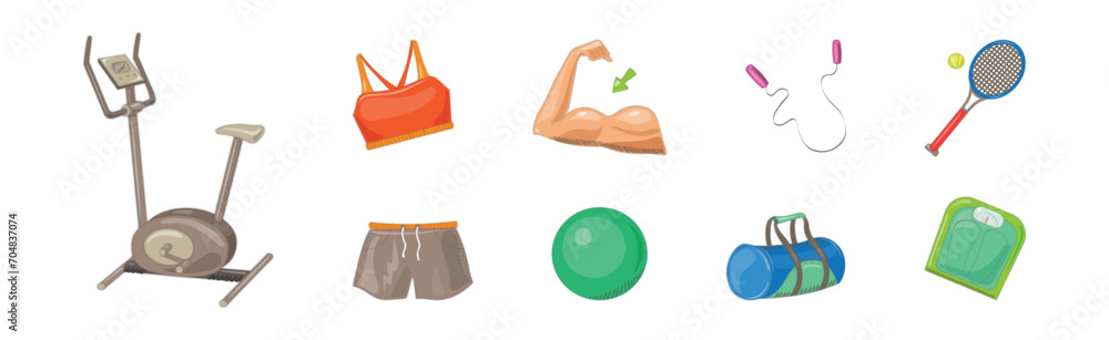 Wall mural sport object and equipment as gym accessories vector set