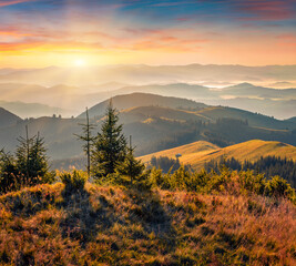 Carpathian mountains at sunrise, Ukraine, Europe. Spectacular summer morning in foggy mountains...
