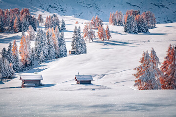 Frosty morning view of Alpe di Siusi village. Bright winter landscape of Dolomite Alps with red larch trees on background. Snowy outdoor scene of ski resort, Ityaly. Vacation concept background.