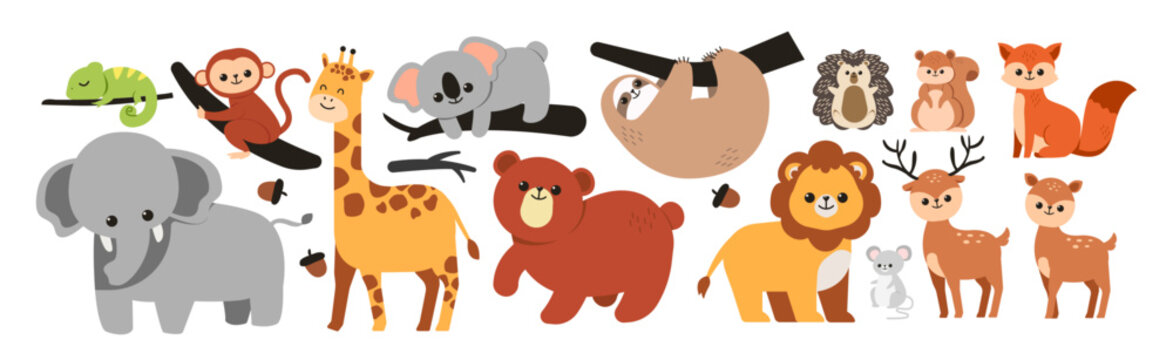 15 set of forest animal illustration. Cute forest animal illustration.
