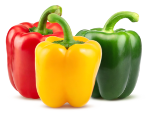 Yellow red and green paprika pepper isolated on white background