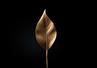 A minimalist composition featuring a single autumn leaf delicately balanced on a fork, captured