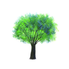 watercolor painting hand drawn texture png tree.	 - 704847091