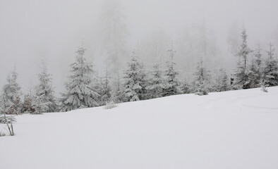 Biała, śnieżna zima na gorskim szlaku turystycznym