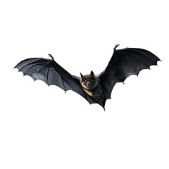 A Halloween bat flying, logo style, 4K, photorealistic, isolate on transparency background png 