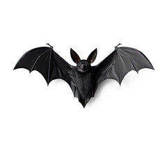 A black bat, Halloween day, isolate on transparency background png 