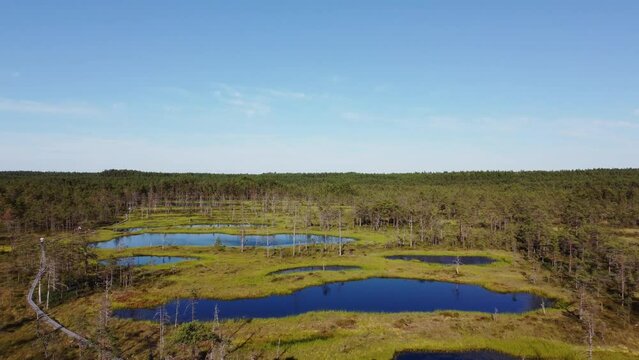 Aerial view on Viru bog in Lahemaa National Park