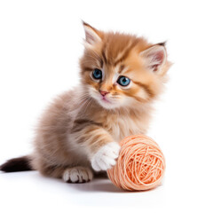Playful cute tabby striped fluffy kitten with the knitted ball is isolated on white background