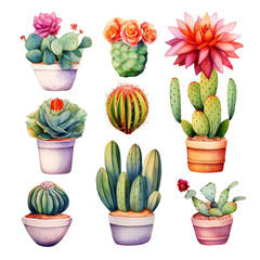 Watercolor  set of cacti and succulent plants 