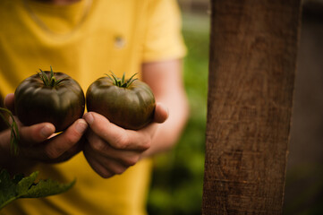 person holding a tomato