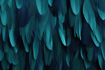 Beautiful feathers background in dark teal blue and black colors. Closeup image of colorful fluffy feather. Natural pattern. Minimal abstract composition with copy space
