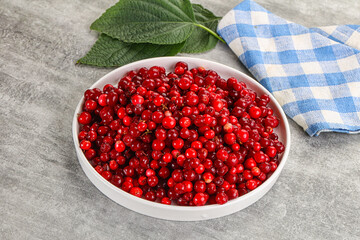 Ripe sweet wild organic cowberry