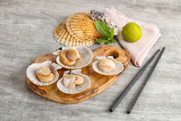 Raw natural scallop in its shell
