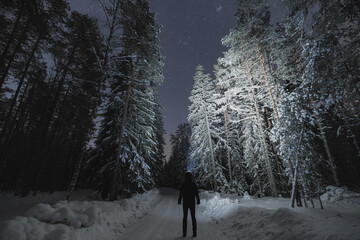Night scene, a man with a headlamp in the winter forest with starry sky. Back view.