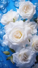 Fototapeta na wymiar White roses with water droplets