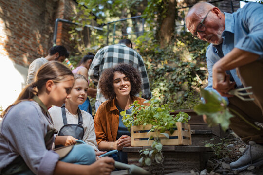 Volunteers at neighbourhood project planting herbs in community garden