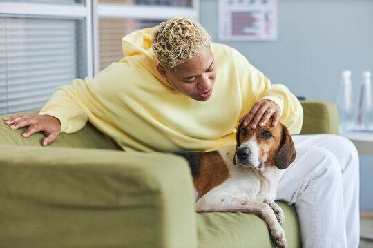 Woman petting dog in veterinary clinic