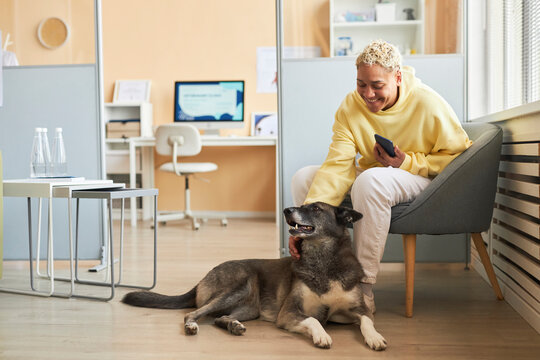 Smiling woman holding smart phone and petting dog in veterinary clinic