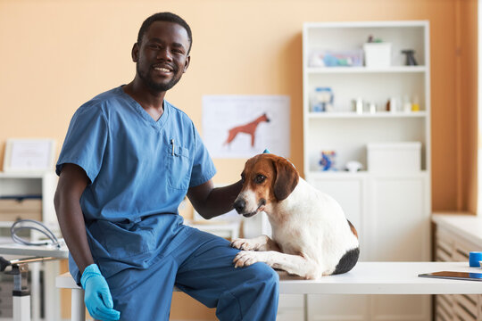 Smiling young veterinarian sitting with beagle dog on table in clinic