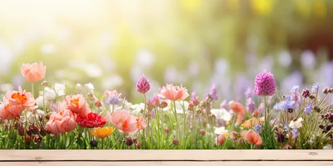 Foto op Canvas Spring flowers, copy space, spring banner, Woman's day banner , Product Display © reddish