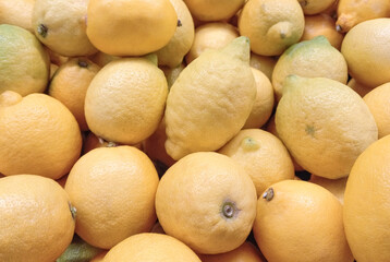 Fresh lemons at the fruit market