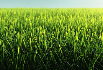 Obraz premium Photo of green fake grass texture , pattern , background design