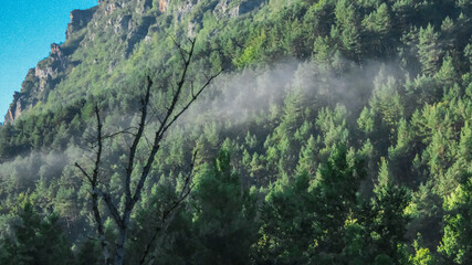 Boi, Aran Valley, Spain, Europe, forests, rivers, waterfalls, mountains