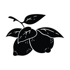 Hand drawing style of lime vector. It is suitable for fruit icon, sign or symbol.