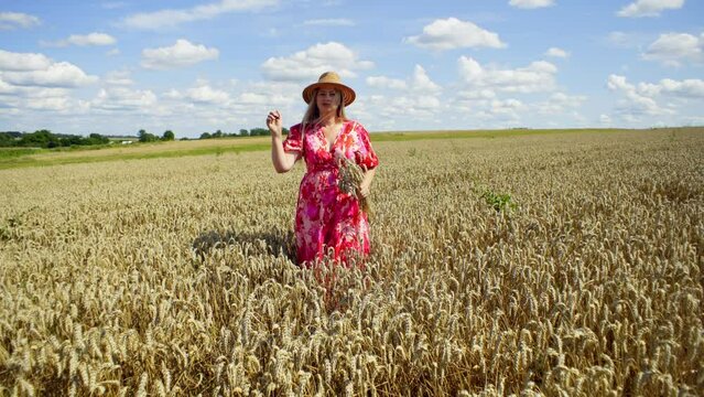 Caucasian girl in a dress dancing in a wheat field. The concept of a free lifestyle of happiness and joy. High quality 4k footage