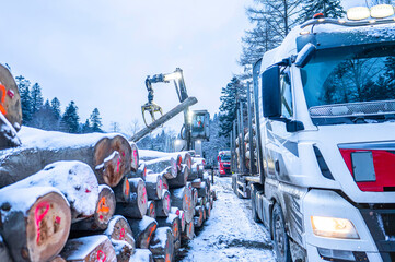 Loading wood onto a truck in the forest in winter.