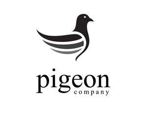 creative pigeon logo design template abstract
