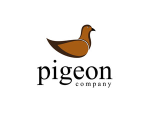 Fototapeta na wymiar pigeon logo design template full color
