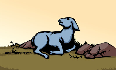 Vector drawing. The sheep got lost in the field