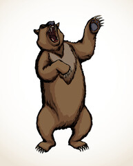 Vector drawing. An angry bear stands and growls