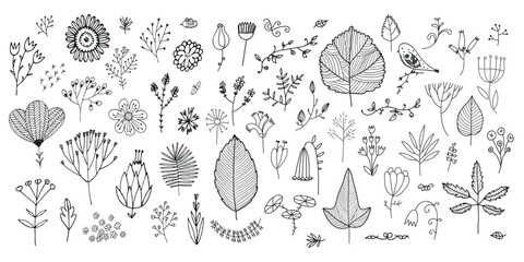 Vector set of hand drawn doodle flowers, wild floral sketch illustration, art nature set, plant cute elements, leaves and herbs