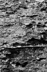 textured rock detail granite and quartz macro photograph