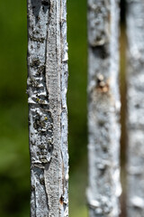 Verical closeup of cracked metallic bars