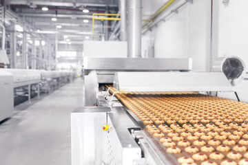 Conveyor line for production cookies at confectionery factory. Modern plant for biscuit.