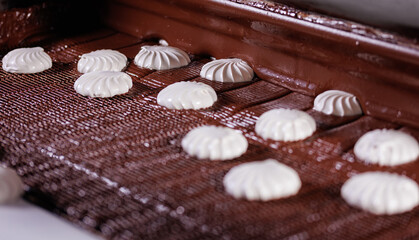 Process of chocolate glazing marshmallows in confectionery on conveyor machine. Automatic line sweet food zephyr factory
