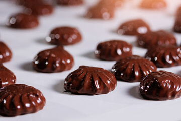 Process of chocolate glazing marshmallows in confectionery on conveyor machine. Automatic line sweet food zephyr factory