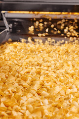 Potato chips production line at food plant. Filling machines for snacks