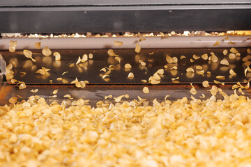 Production line for Potato chips, modern food plant for snacks