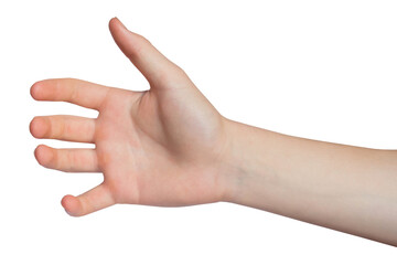 Hand holding something, isolated on a transparent background. PNG