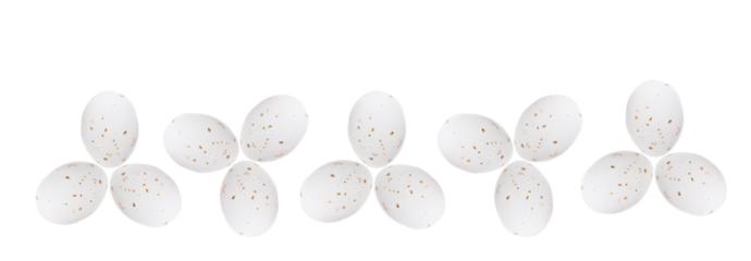 White Easter Egg bottom border isolated on transparent background. Border. PNG