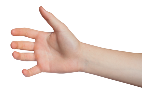 Hand holding something, isolated on a transparent background. PNG