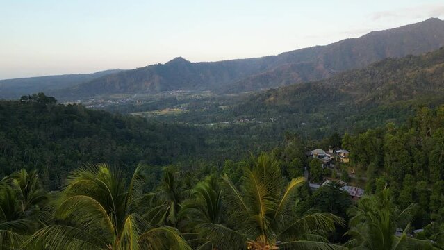 Aerial view of palm trees and forests in northern part of Bali island, Indonesia