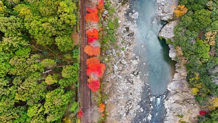 Bird eye view of railway with autumn leaves in Kyoto, Japan