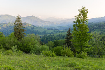 Mountain ridges in spring sunny morning in Carpathian Mountains